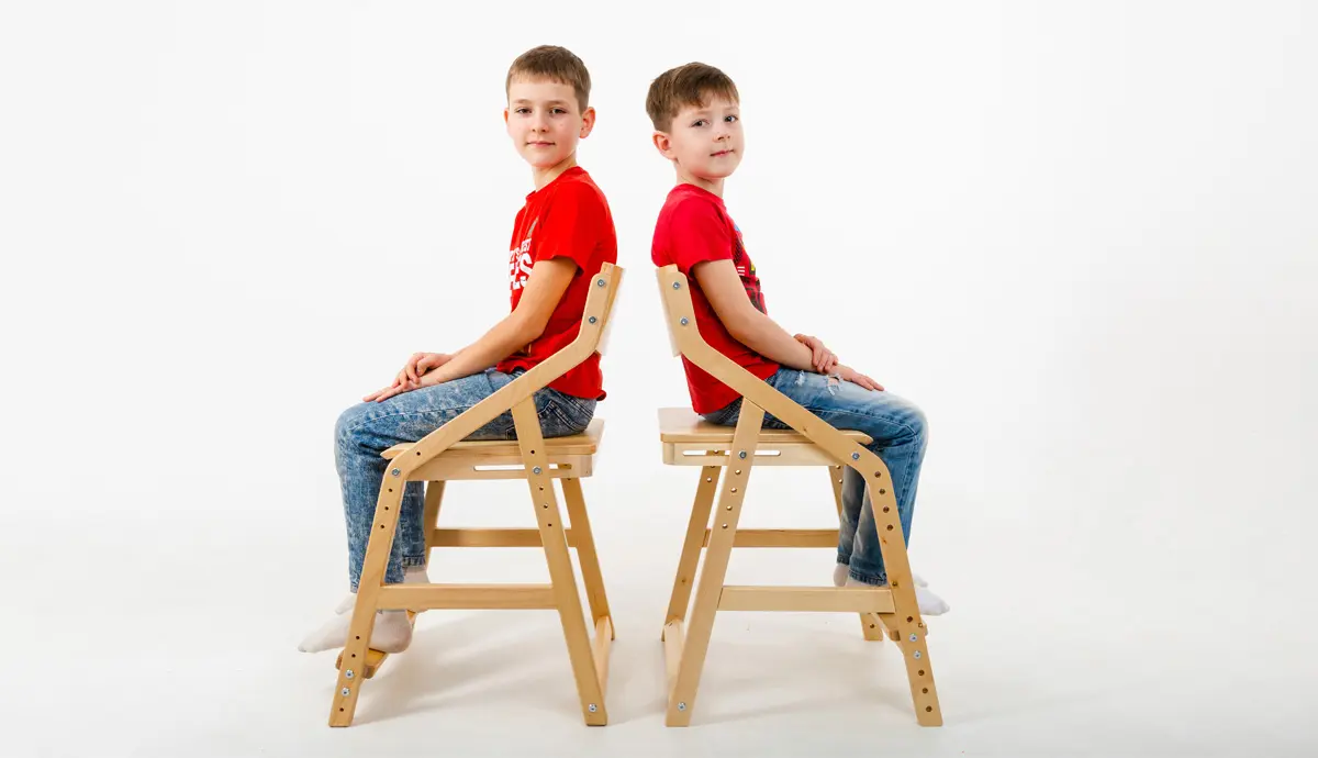 Стул массив березы Rabbit Wood