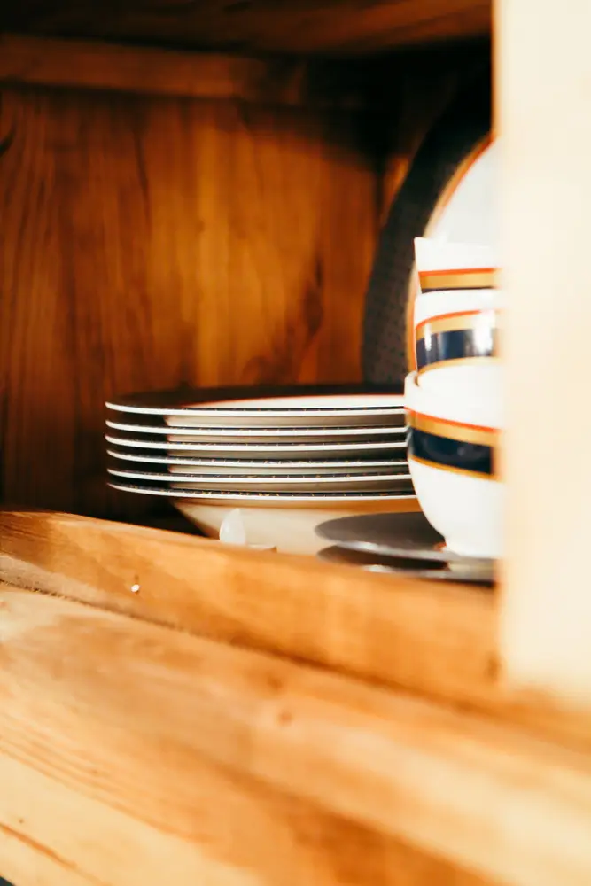 Викинг Общая